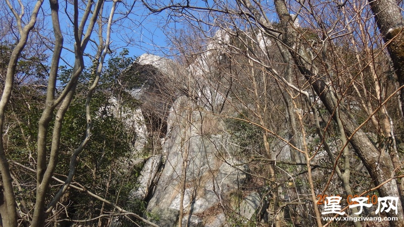 DSC01272.jpg