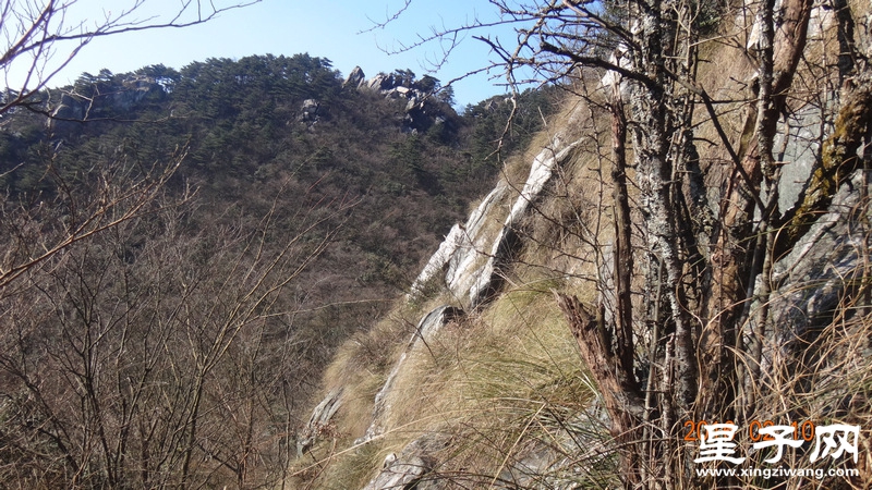 DSC01274.jpg