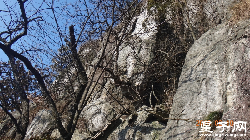 DSC01276.jpg