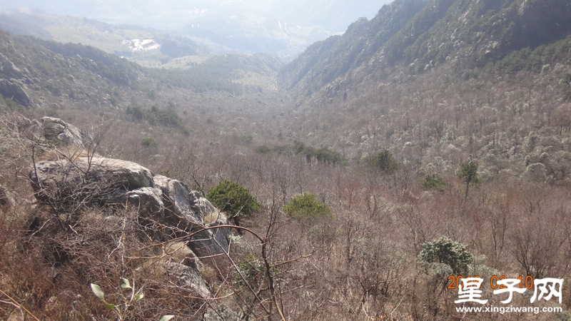 DSC01280.jpg