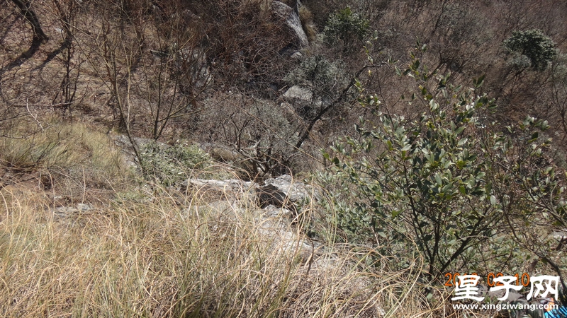 DSC01287.jpg