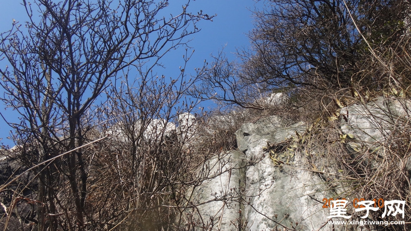 DSC01288.jpg