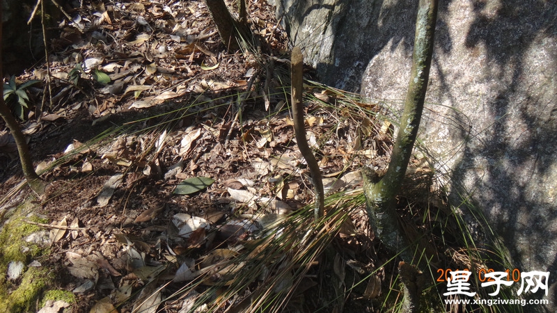 DSC01315.jpg