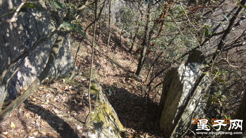 DSC01316.jpg