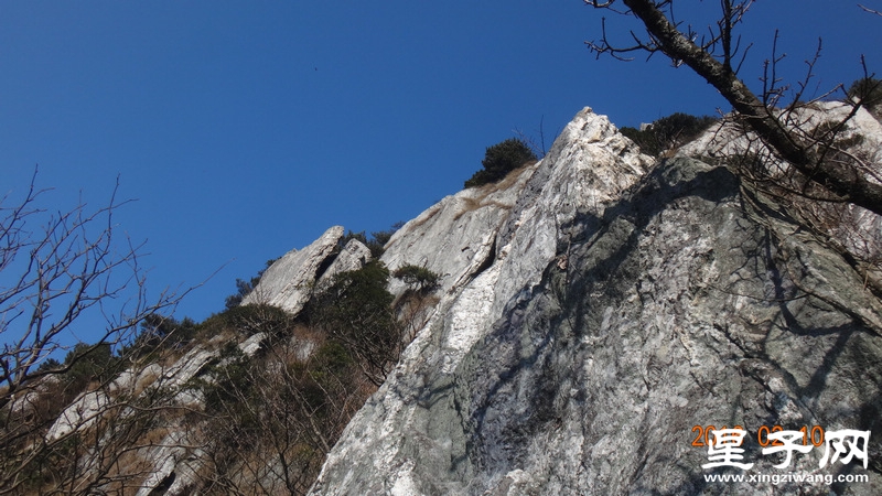 DSC01321.jpg