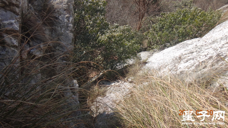 DSC01331.jpg