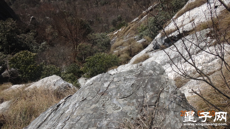 DSC01389.jpg