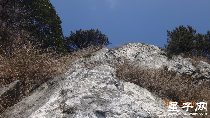 DSC01406.jpg