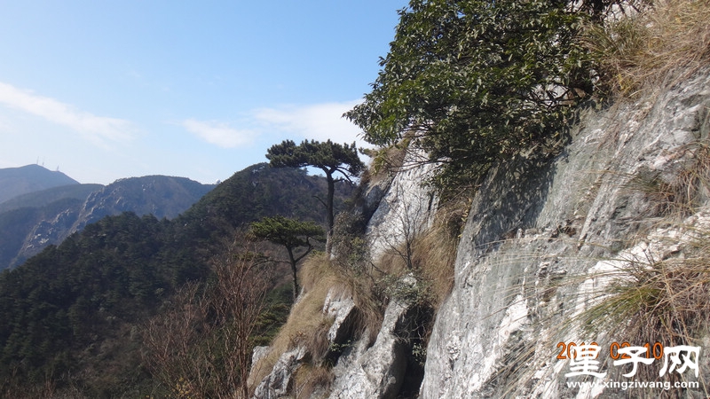 DSC01413.jpg
