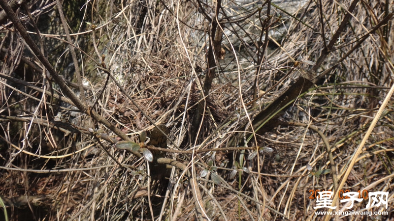 DSC01416.jpg