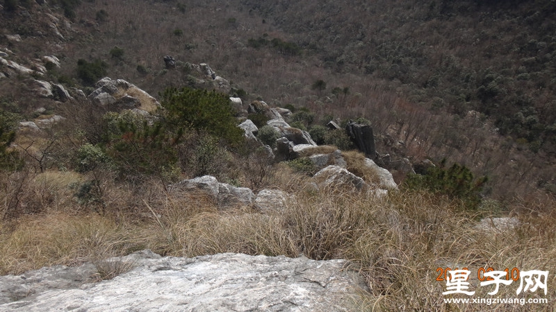DSC01432.jpg