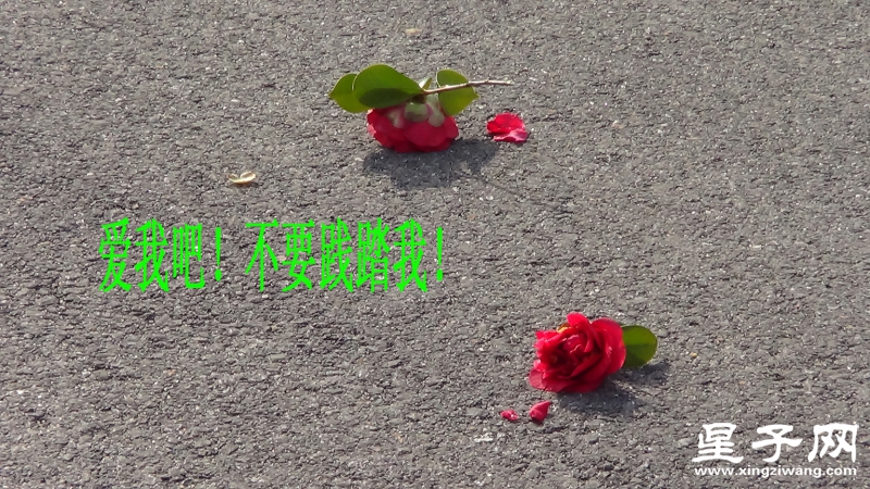 太不像话1.jpg