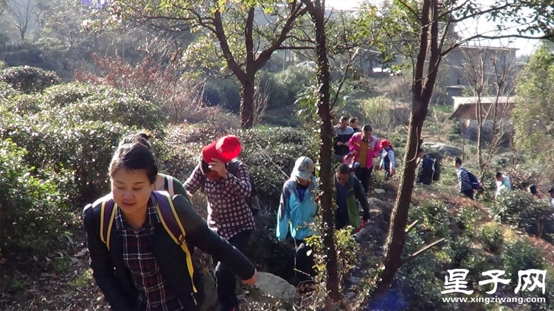 乱石岗.jpg