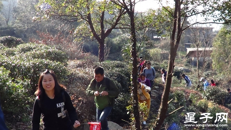 乱石岗1.jpg