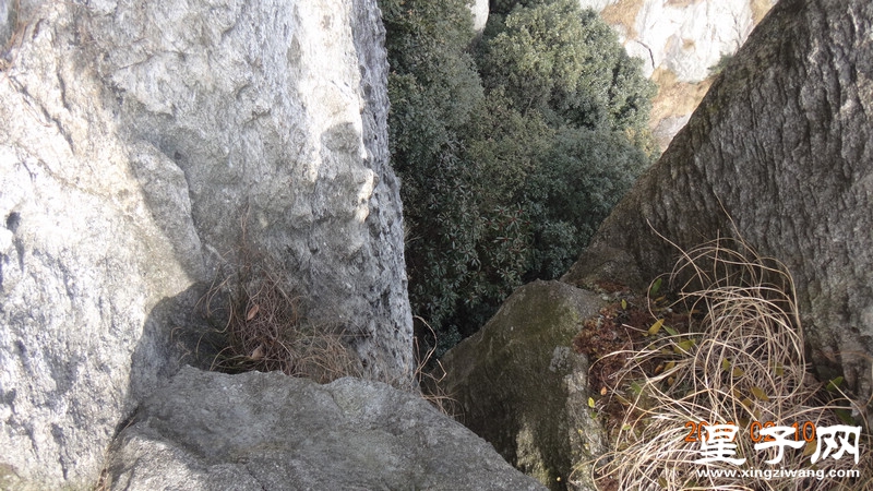 DSC01617.jpg