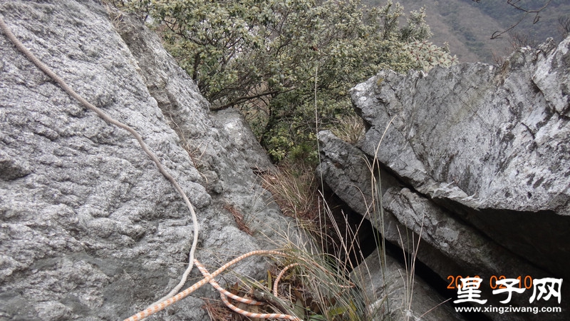 DSC01650.jpg
