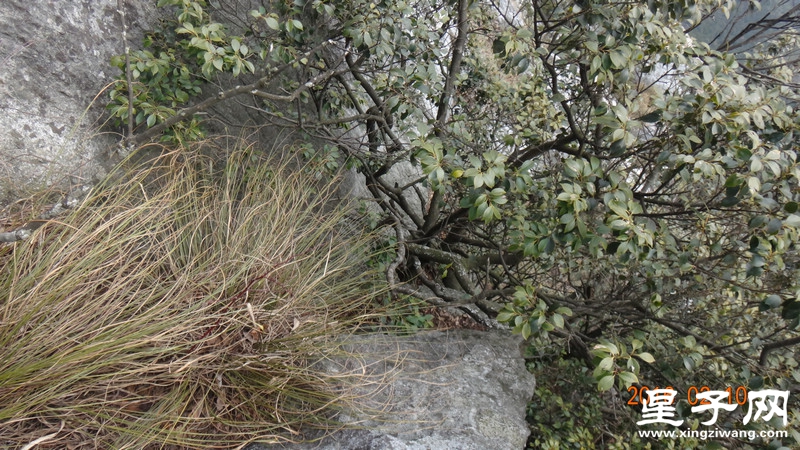 DSC01655.jpg