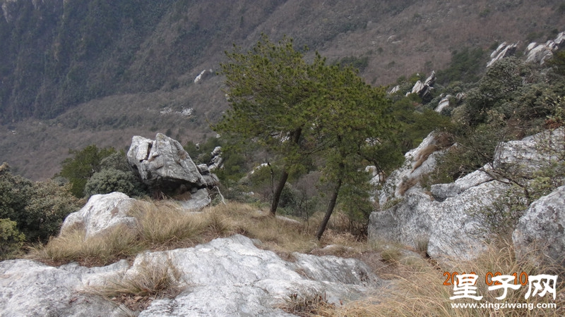 DSC01684.jpg