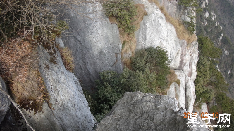 DSC01739.jpg