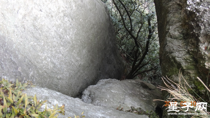 DSC01745.jpg