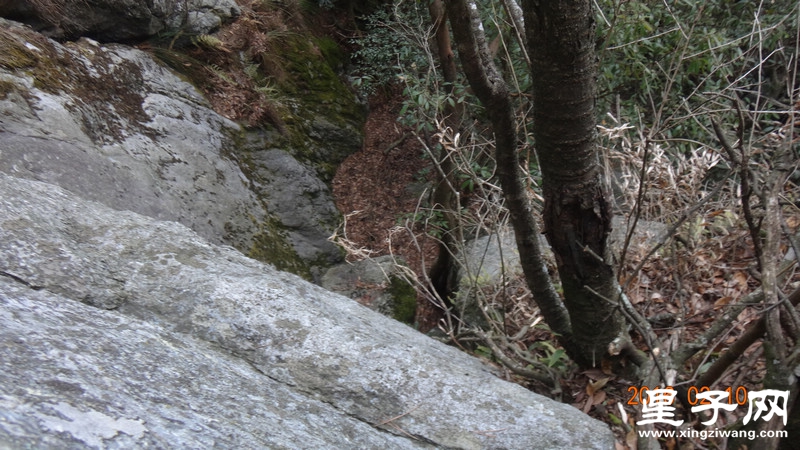 DSC01797.jpg