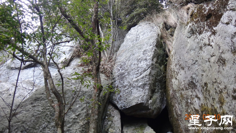 DSC01809.jpg
