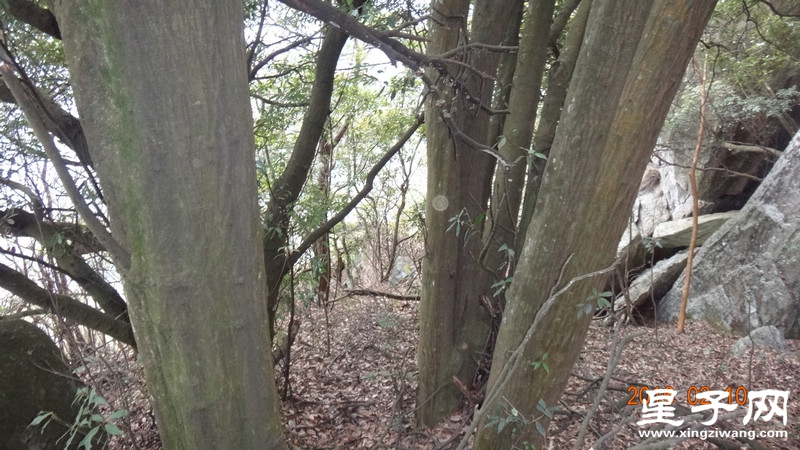 DSC01824.jpg