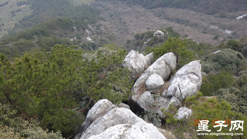 DSC01825.jpg