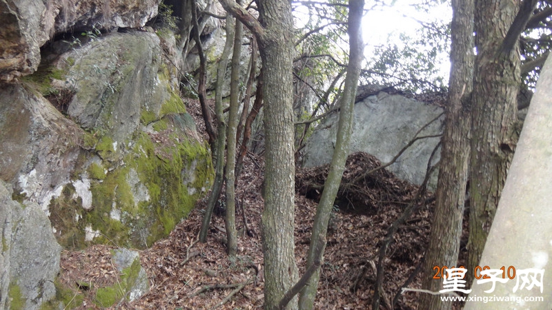 DSC01867.jpg