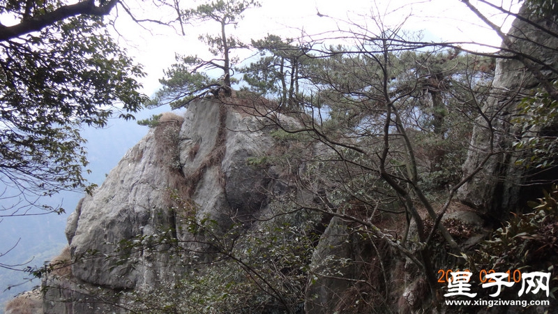 DSC01870.jpg