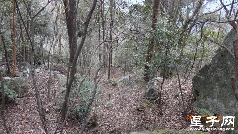 DSC01887.jpg