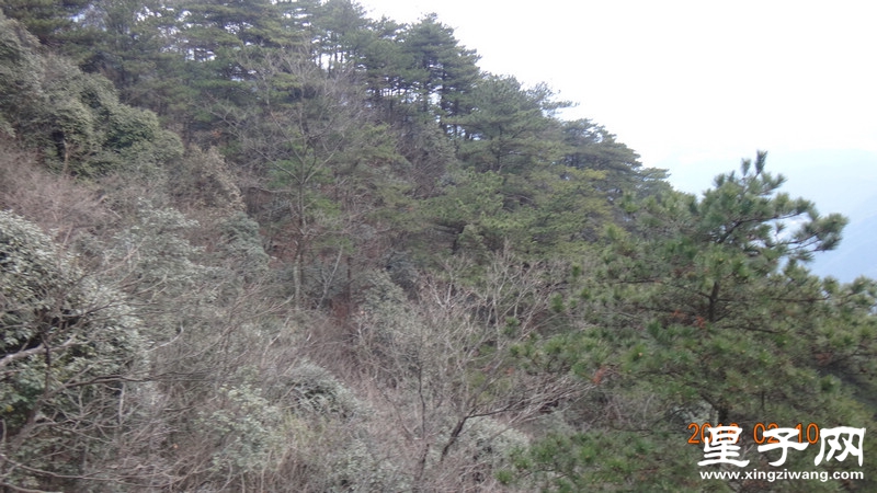 DSC01889.jpg