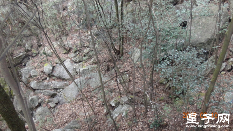 DSC01895.jpg
