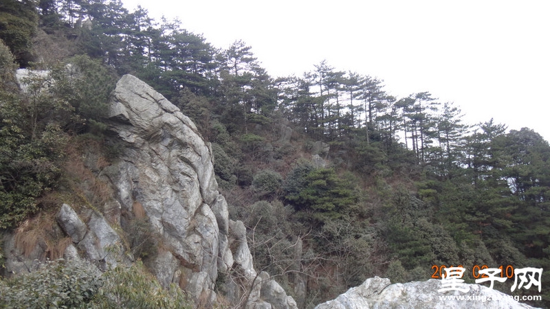 DSC01905.jpg