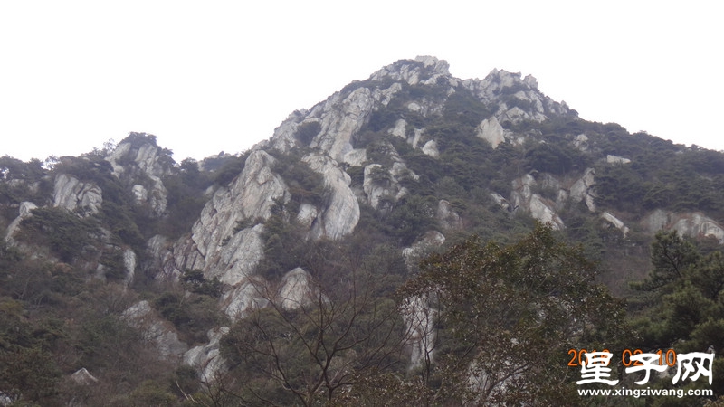 DSC01908.jpg
