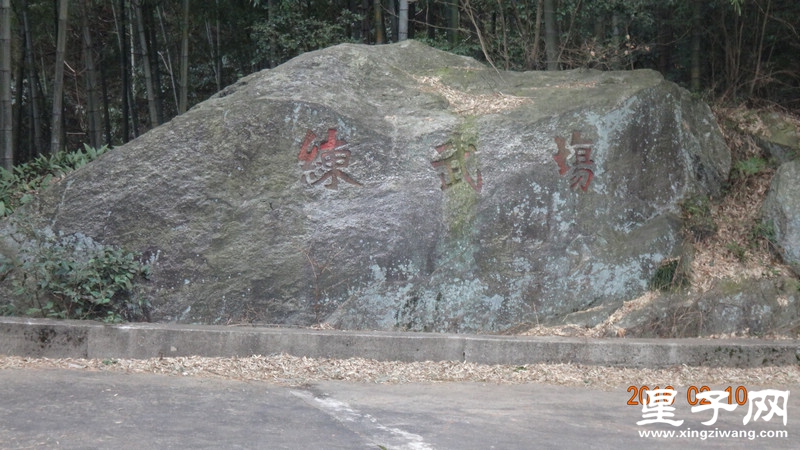 DSC01955.jpg