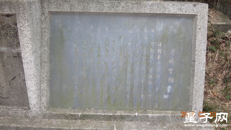DSC01952.jpg