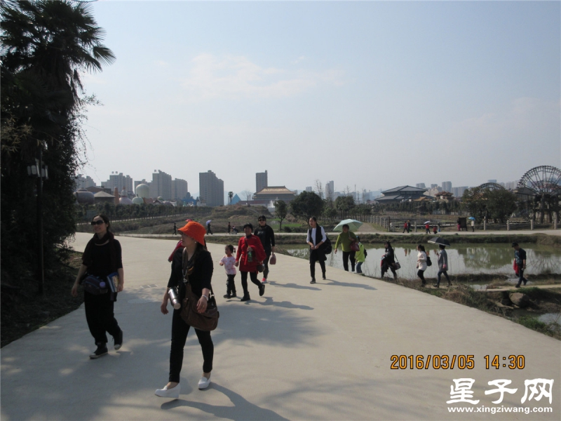 IMG_1165.jpg