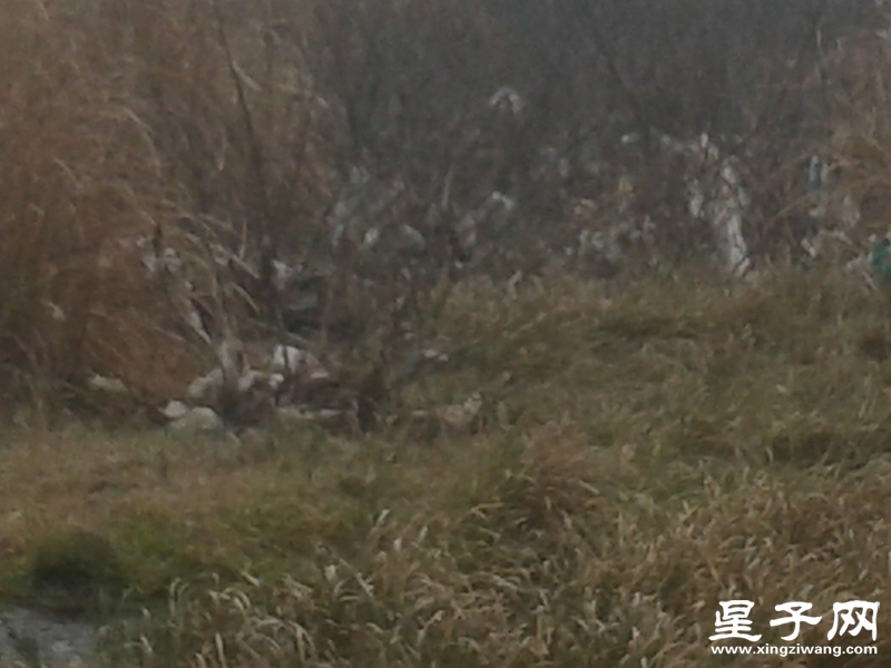 QQ图片20160310133132.jpg