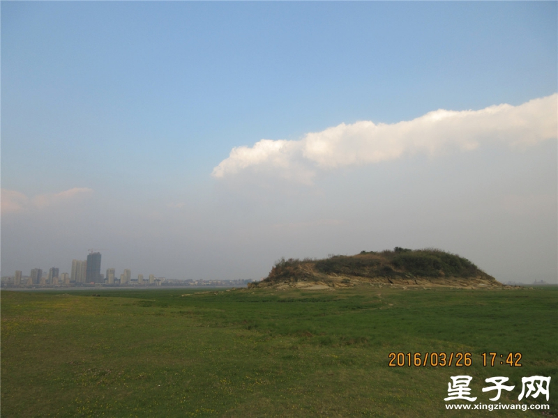 IMG_2875.jpg