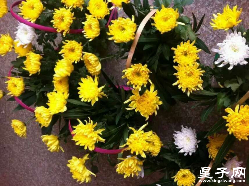 QQ图片20160402210359.jpg