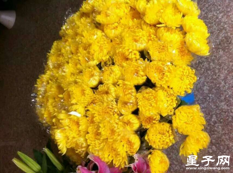 QQ图片20160402210340.jpg