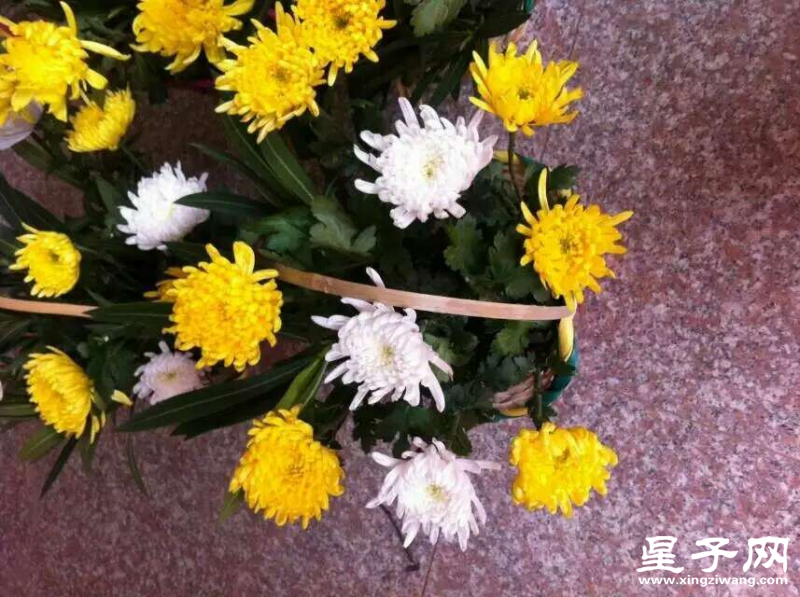 QQ图片20160402210344.jpg
