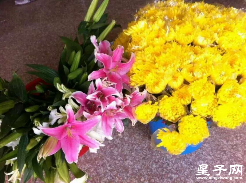 QQ图片20160402210351.jpg