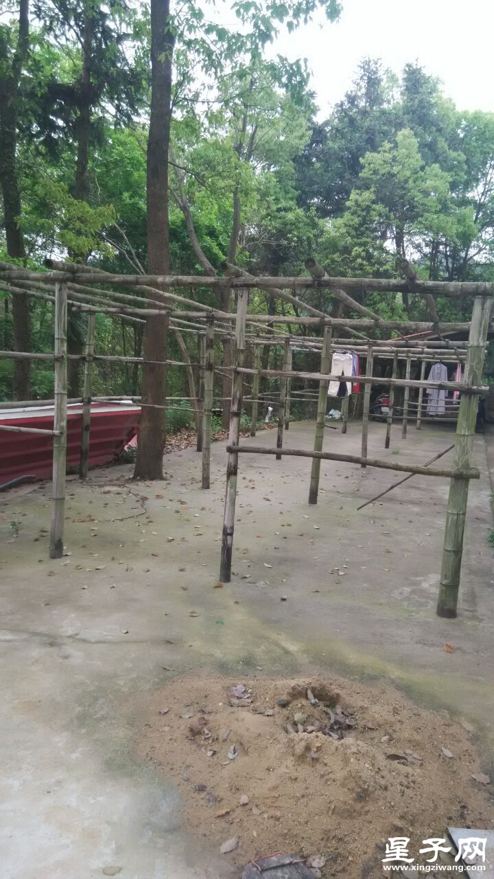 晾衣服架