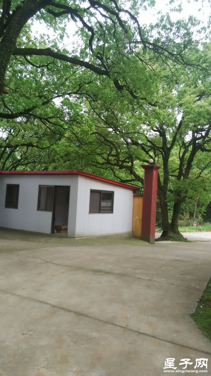 出入口