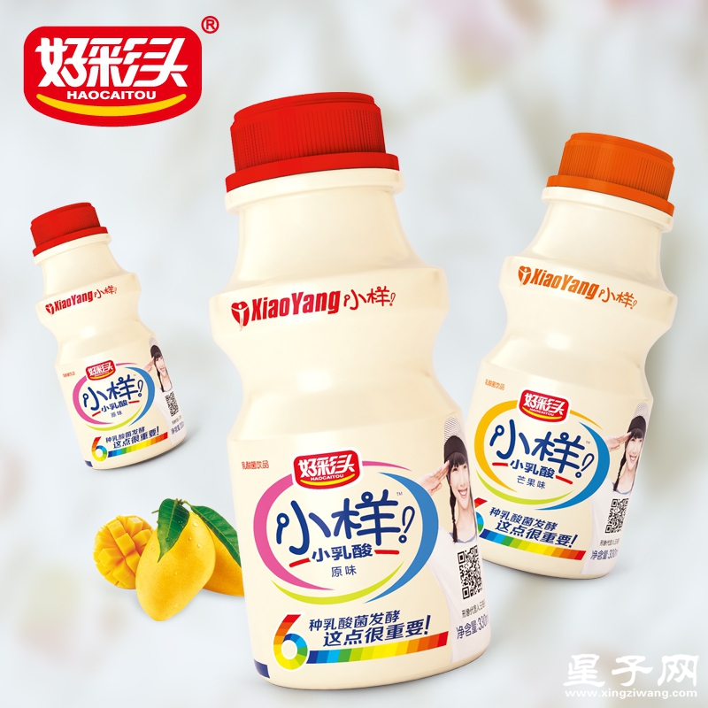 小样乳酸菌