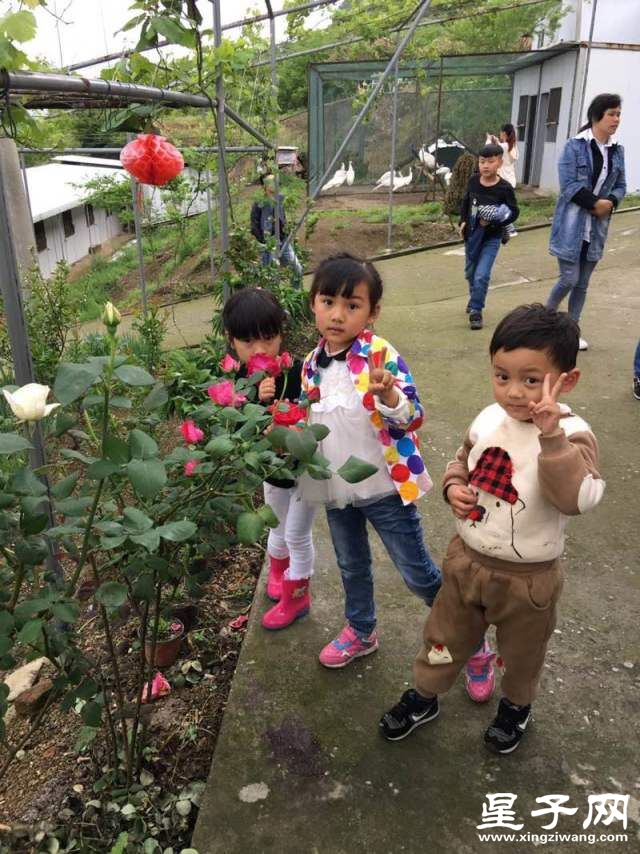 QQ图片20160425081941.jpg