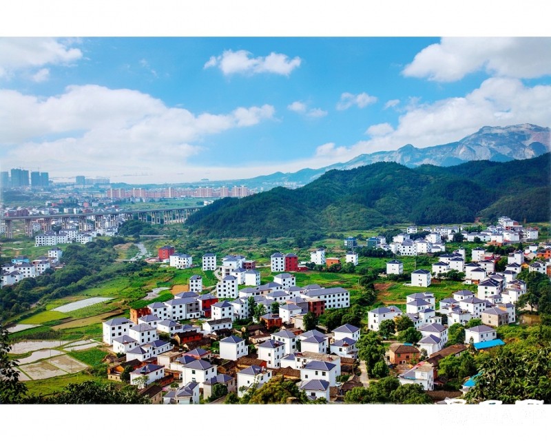 第二届星子县职工摄影大赛王新东摄影作品