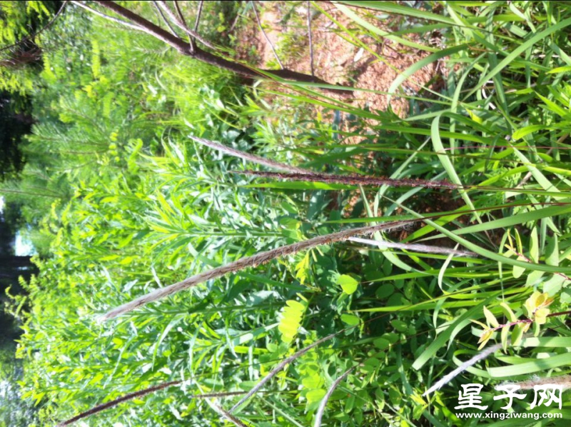 QQ图片20160513141937.jpg